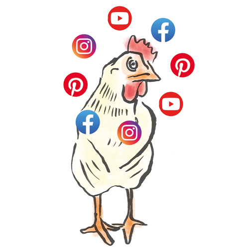 Artwork Hühnchen mit Social Media Icons
