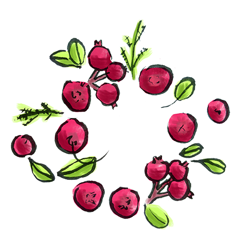 Artwork Cranberry
