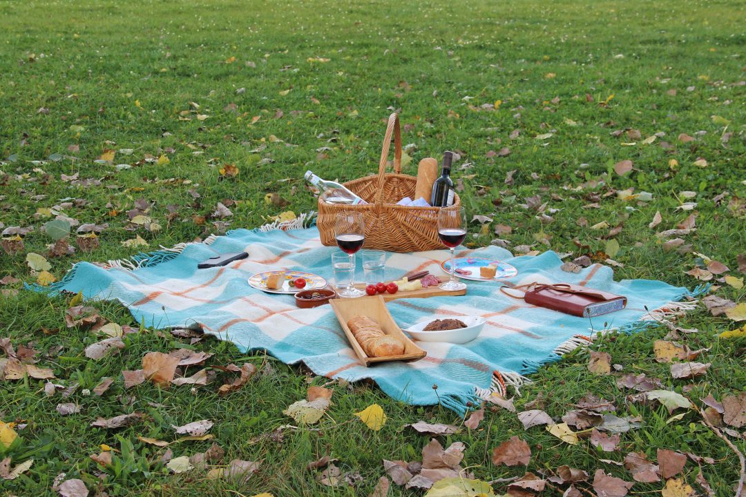 Picknickdecke auf grüner Wiese
