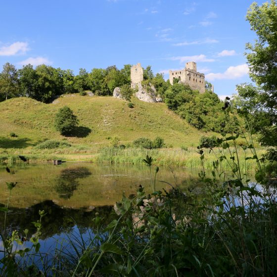 Landschaft an der Burg Niederhaus